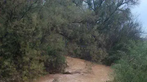 שיטפון בנחל שקמה במועצה האזורית שער הנגב שיטפון בנחל שקמה במועצה האזורית שער הנגב