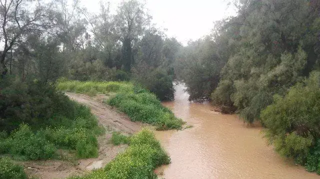 שיטפון בנחל שקמה במועצה האזורית שער הנגב שיטפון בנחל שקמה במועצה האזורית שער הנגב