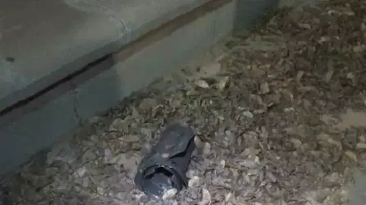 שלושה פצועים מרסיסי רקטות במועצה אזורית אשכול