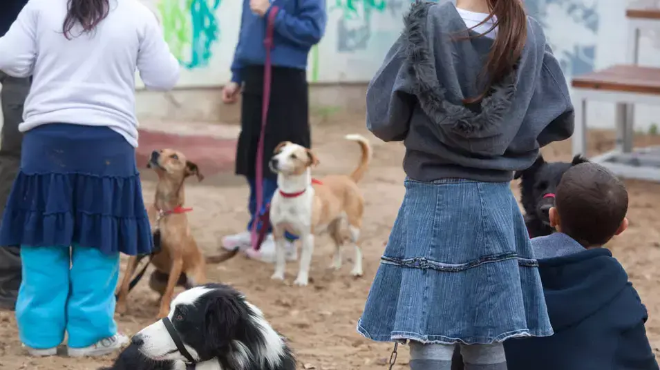 ילדים המטופלים ב"בית יוסי" באשדוד והכלבים המטפלים