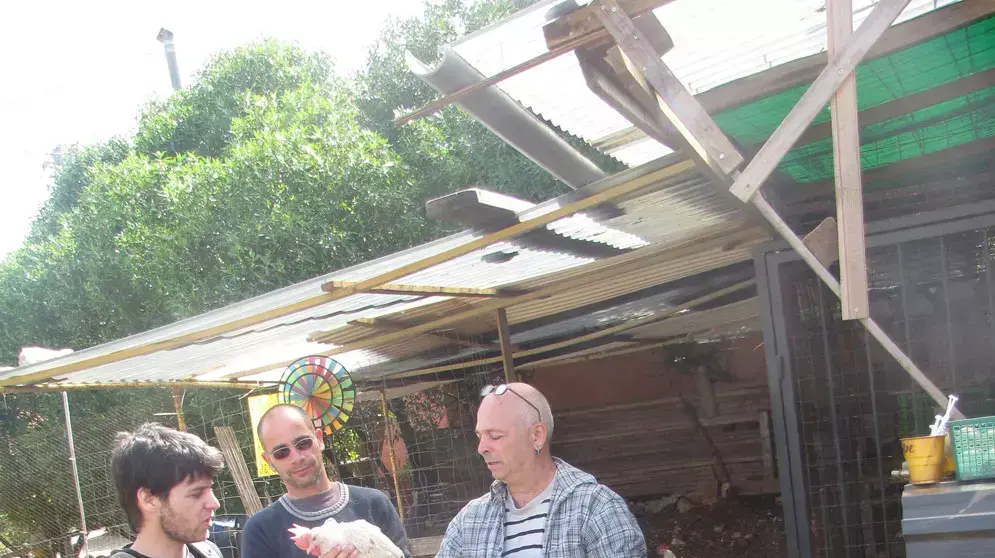 ניסן זהר (ימין) מאמץ תרנגולות שהוצלו מ"כלובי סוללה" עם עמית לוי (במרכז) ודובר אנונימוס, רונן בר (משמאל) ניסן זהר (ימין) מאמץ תרנגולות שהוצלו מ"כלובי סוללה" עם עמית לוי (במרכז) ודובר אנונימוס, רונן בר (משמאל)