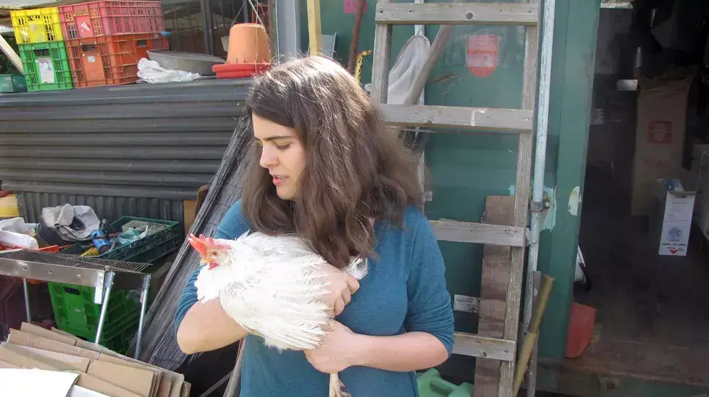 פעילת אנונימוס עם תרנגולת שהוצלה מ"כלוב סוללה" פעילת אנונימוס עם תרנגולת שהוצלה מ"כלוב סוללה"