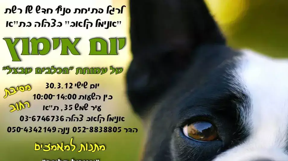 פוסטר של יום אימוץ של עמותת "הכלבים שבצל"