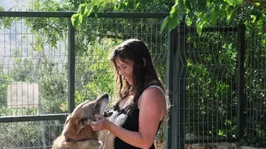 כלבים בפנסיון "חוות הרי יהודה" כלבים בפנסיון "חוות הרי יהודה"