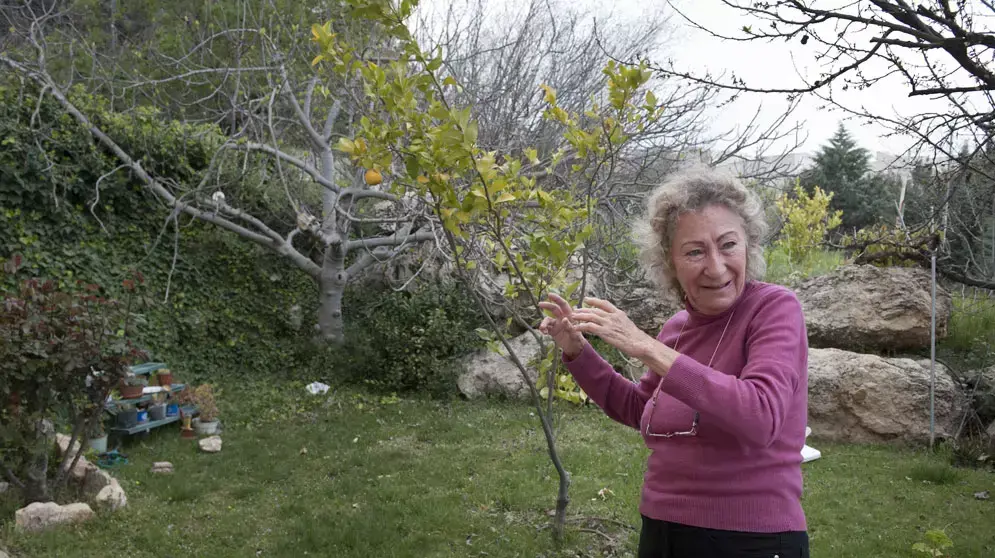התנחלות אפרת , מועצה מקומית המצויה באזור יהודה, אפריל 2012 התנחלות אפרת , מועצה מקומית המצויה באזור יהודה, אפריל 2012