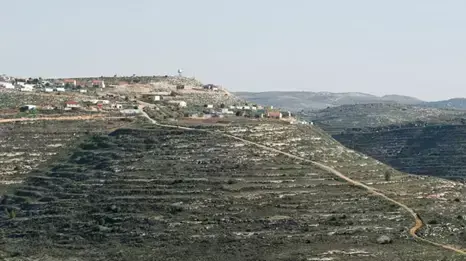 נוהל שכן- לובן א-שרקיה, עלי נוהל שכן- לובן א-שרקיה, עלי