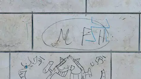 נוהל שכן אום סלמונה ואפרת נוהל שכן אום סלמונה ואפרת