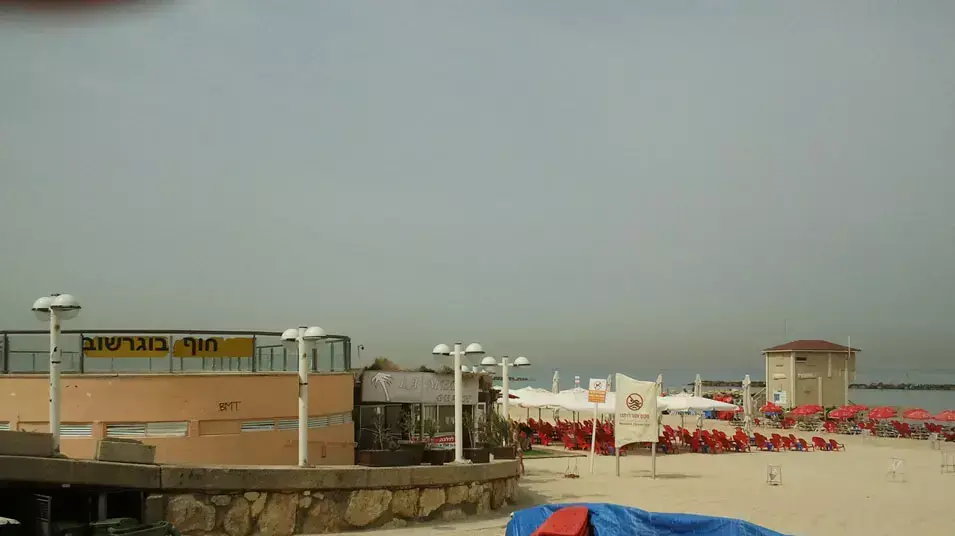 חוף מגרשוב, אפריל 2012 חוף מגרשוב, אפריל 2012