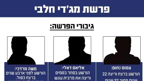 פרשת מג'די חלבי פרשת מג'די חלבי