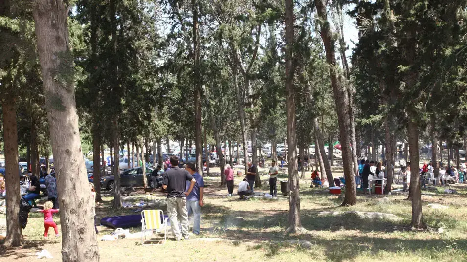 מנגלים ביער קריית אתא, יום העצמאות 2012