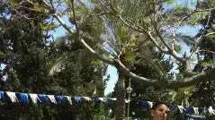 גולשים תיעדו את חגיגות יום העצמאות