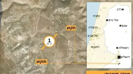 נוהל שכן נוהל שכן