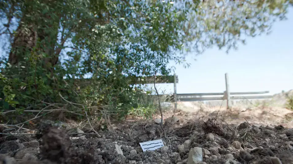 החורשה שבה נקבר התינוק ליד בית החולים הדסה עין כרם, מאי 2012 החורשה שבה נקבר התינוק ליד בית החולים הדסה עין כרם, מאי 2012