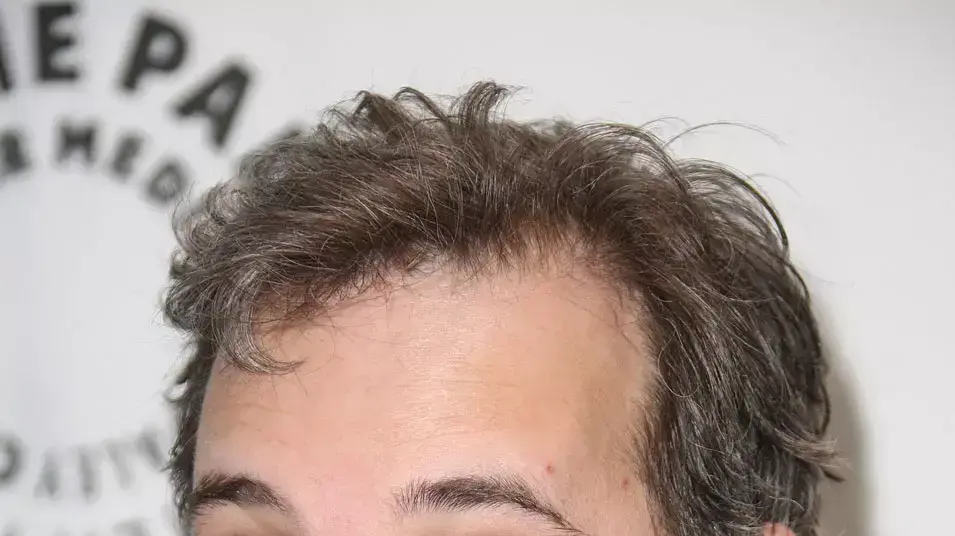 דן הרמון דן הרמון