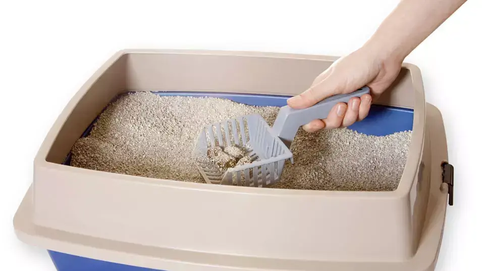 כף לניקוי חול לחתולים כף לניקוי חול לחתולים