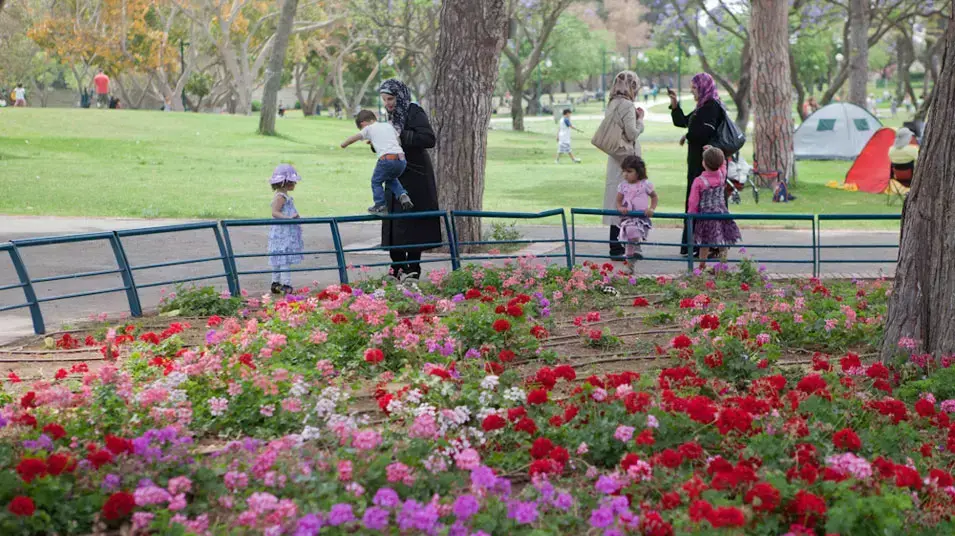 שבועות: פיקניקים ומנגלים בפארק הלאומי ברמת גן שבועות: פיקניקים ומנגלים בפארק הלאומי ברמת גן