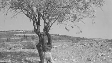 שמחה שרמן צבא עץ שמחה שרמן צבא עץ