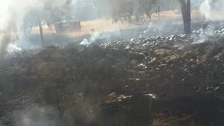 צמחייה חרוכה בשריפה בקיבוץ עמיעד יוני 2012 צמחייה חרוכה בשריפה בקיבוץ עמיעד יוני 2012