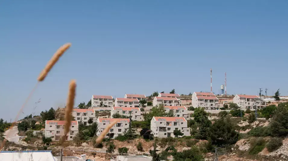 גבעת האולפנה, בית אל, יוני 2012