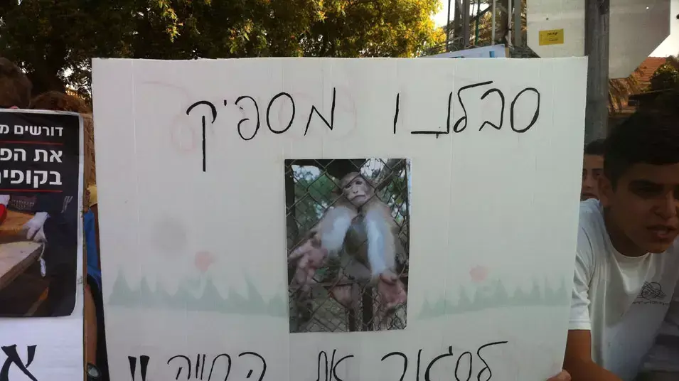 הפגנה, חוות מזור הפגנה, חוות מזור