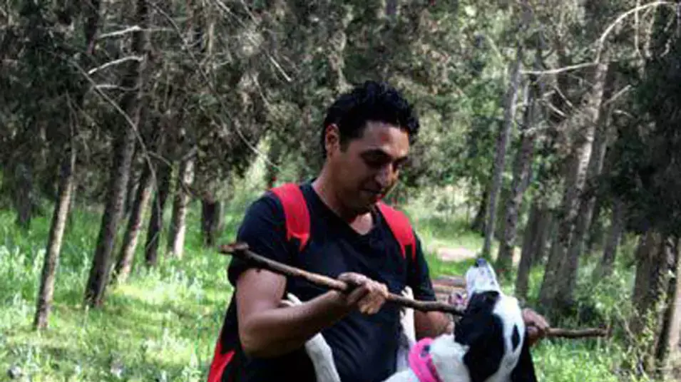 אלון בן משה עם הכלבה בטיול של "רווקים/רווקות אוהבי חיות" אלון בן משה עם הכלבה בטיול של "רווקים/רווקות אוהבי חיות"