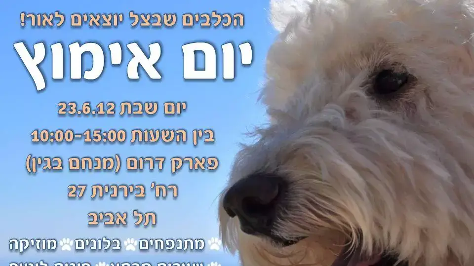 פוסטר יום אימוץ של "הכלבים שבצל" פוסטר יום אימוץ של "הכלבים שבצל"