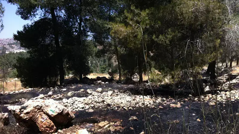 גל הצתות בירושלים , יוני 2012