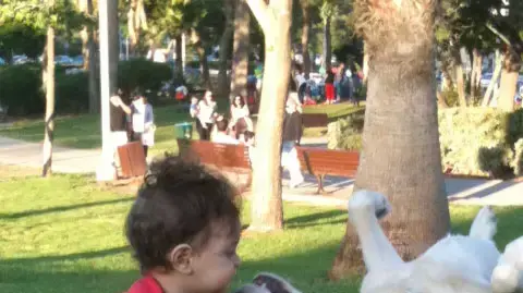 הכלבה באדי עם התינוקת אלונה הכלבה באדי עם התינוקת אלונה