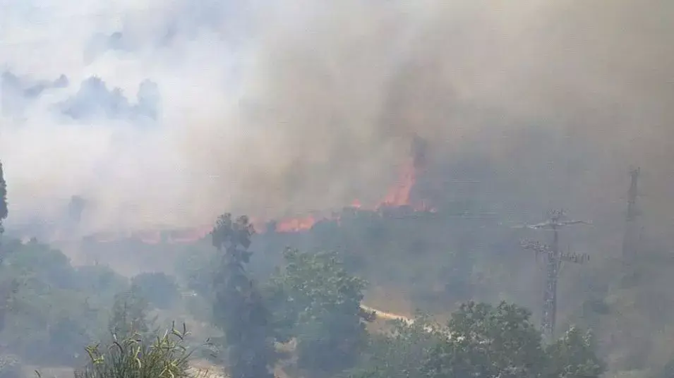 שריפה בצומת מוצא בירושלים שריפה בצומת מוצא בירושלים