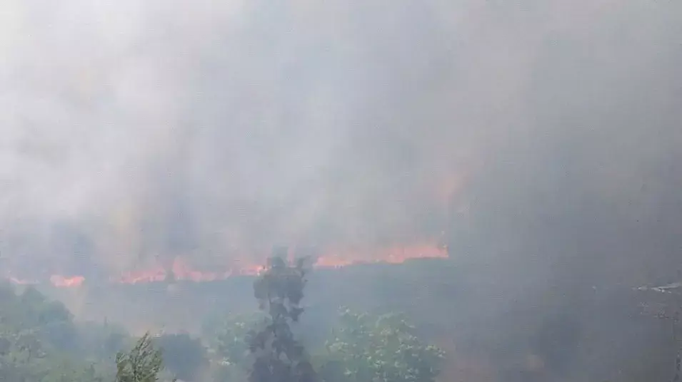 שריפה בצומת מוצא בירושלים שריפה בצומת מוצא בירושלים