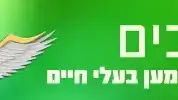 המלאכים