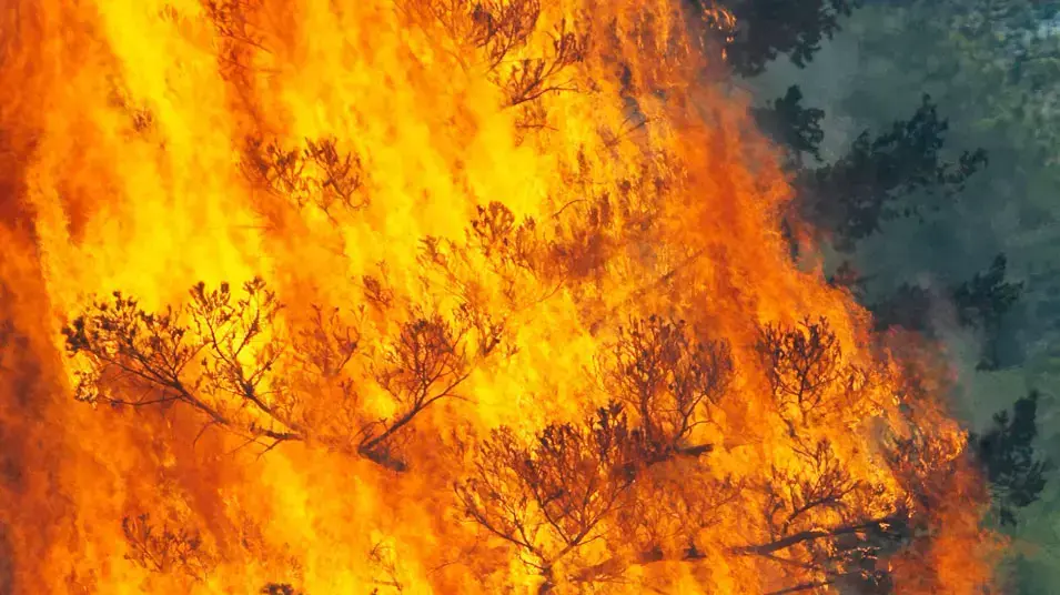 שריפת יער שמשתוללת בקניון וולדו סמוך לעיר קולורדו ספרינגס במדינת קולורדו, יוני 2012 שריפת יער שמשתוללת בקניון וולדו סמוך לעיר קולורדו ספרינגס במדינת קולורדו, יוני 2012