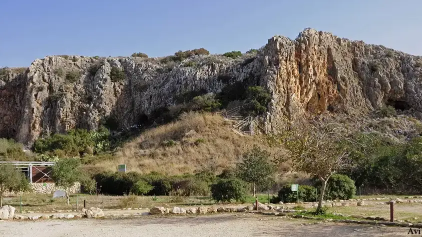 נחל מערות במועצה אזורית חוף הכרמל הוכרז כאתר מורשת עולמי נחל מערות במועצה אזורית חוף הכרמל הוכרז כאתר מורשת עולמי