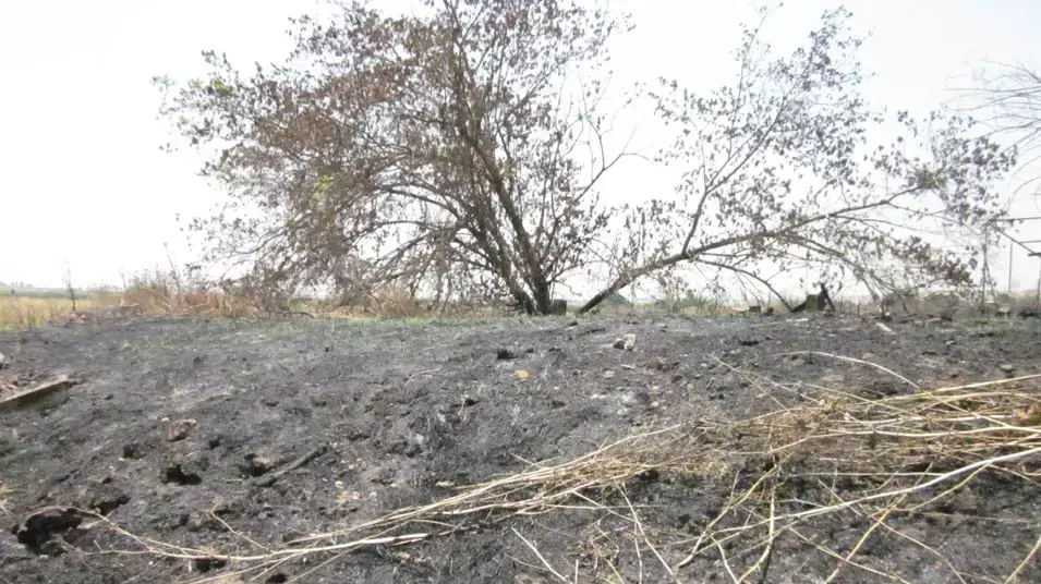 שריפת קוצים בסמוך למושב יציץ בשפלה, יולי 2012 שריפת קוצים בסמוך למושב יציץ בשפלה, יולי 2012