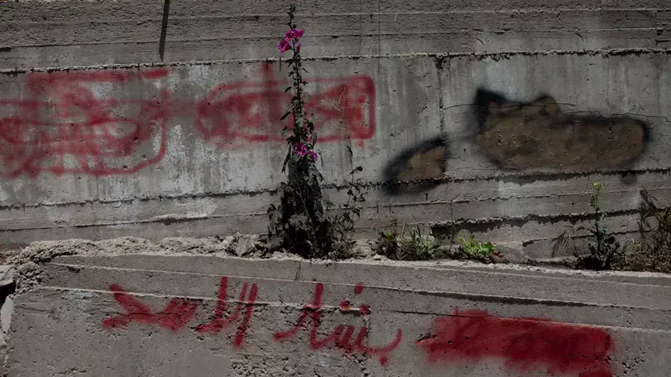 גרפיטי בעד ונגד אסד במג'דל שמס סמוך לגבול הסורי, יולי 2012 גרפיטי בעד ונגד אסד במג'דל שמס סמוך לגבול הסורי, יולי 2012