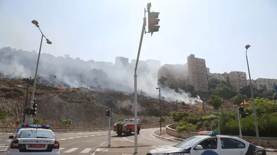 שריפת קוצים בחיפה, כביש דורי שריפת קוצים בחיפה, כביש דורי