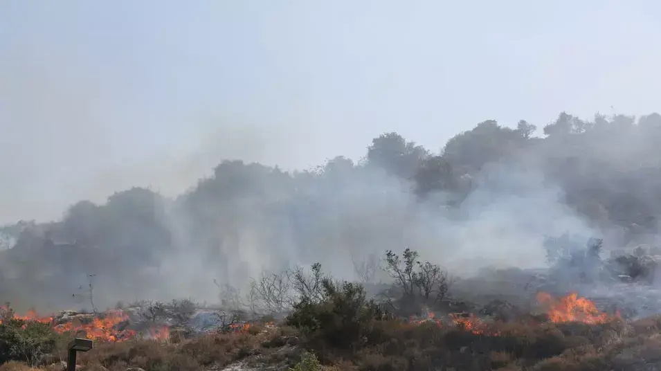 שריפת קוצים בחיפה, כביש דורי שריפת קוצים בחיפה, כביש דורי