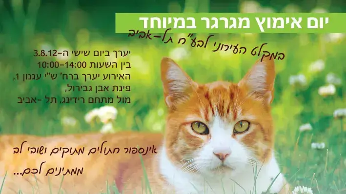 יום אימוץ בכלבייה העירונית תל אביב יום אימוץ בכלבייה העירונית תל אביב