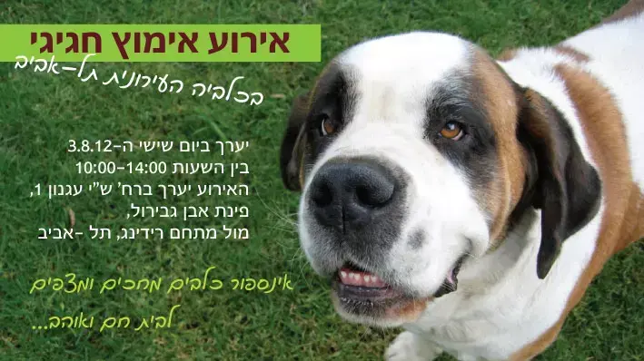 יום אימוץ בכלבייה העירונית תל אביב יום אימוץ בכלבייה העירונית תל אביב