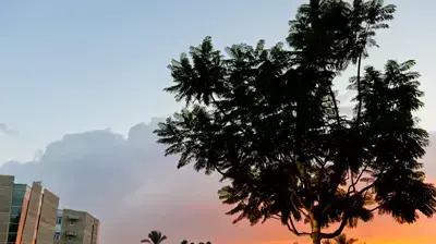 אוניברסיטת בן גוריון אוניברסיטת בן גוריון