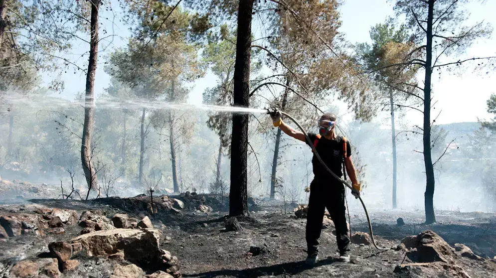 שריפה באבן ספיר בירושלים שריפה באבן ספיר בירושלים