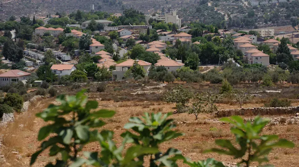 אל ג'אניה, נוהל שכן, אוגוסט 2012 אל ג'אניה, נוהל שכן, אוגוסט 2012