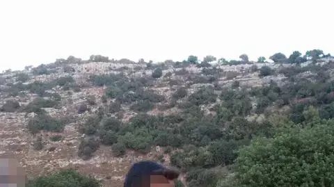 פלסטיני חמוש בסכין נעצר ליד קרני שומרון פלסטיני חמוש בסכין נעצר ליד קרני שומרון