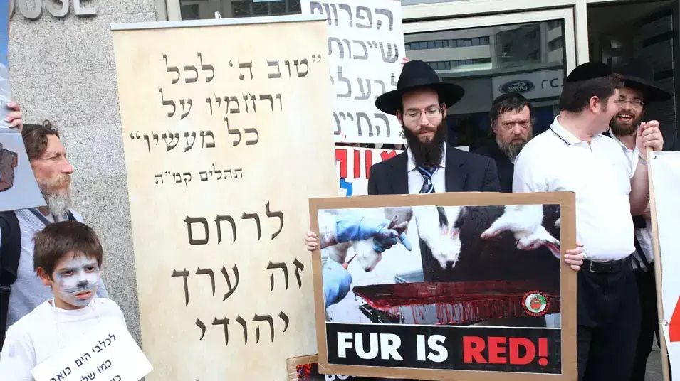 ארגון בחמלה- הפגנה נגד פרוות