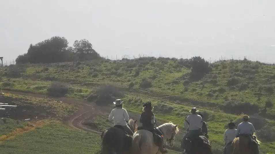 השומר החדש השומר החדש