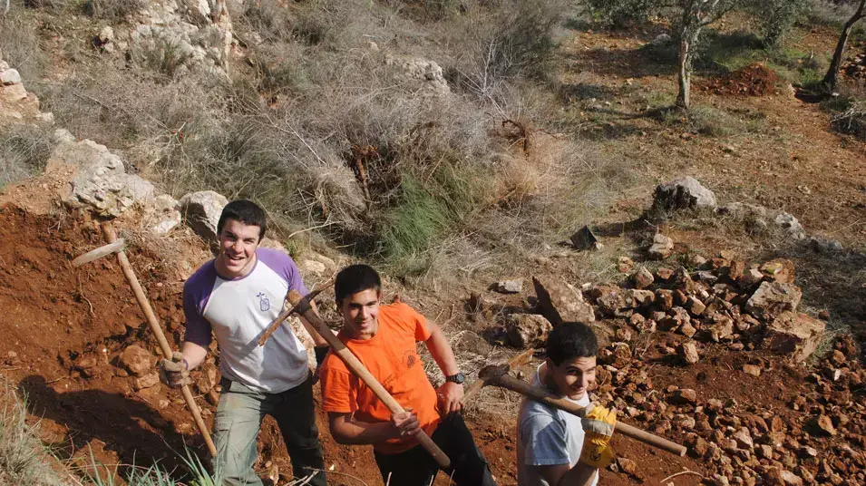 השמור החדש השמור החדש