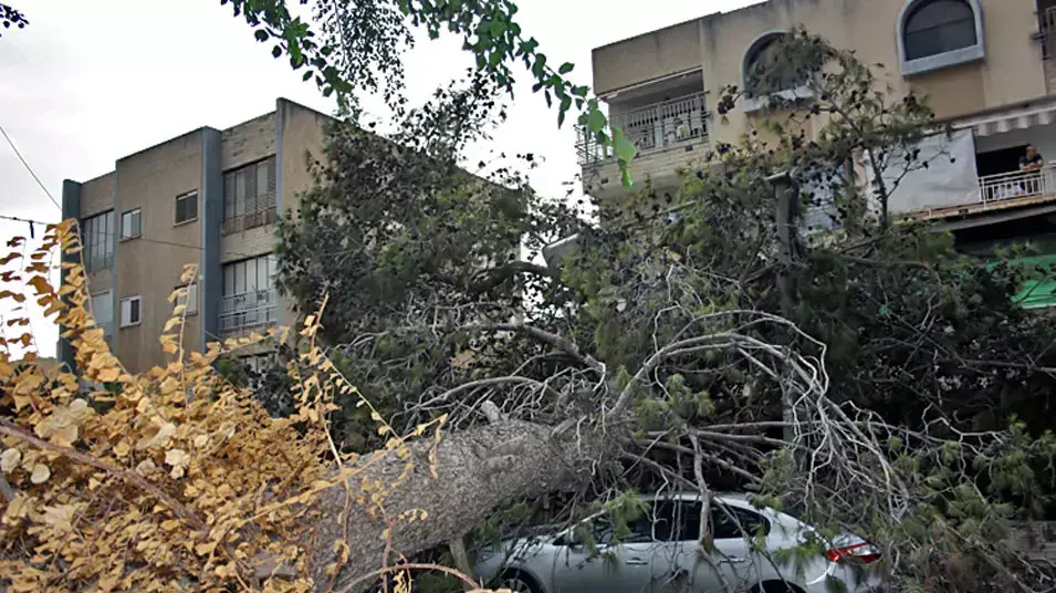קריסת עץ בקריית אתא קריסת עץ בקריית אתא