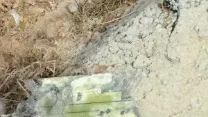 תמונות של כלי הטיס הבלתי מאויש שהפילו מטוסי חיל האוויר בדרום הארץ תמונות של כלי הטיס הבלתי מאויש שהפילו מטוסי חיל האוויר בדרום הארץ