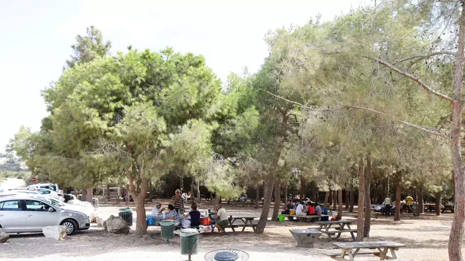 מטיילים ברמת הנדיב בשמחת תורה, אוקטובר 2012 מטיילים ברמת הנדיב בשמחת תורה, אוקטובר 2012