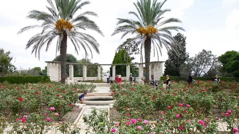 מטיילים ברמת הנדיב בשמחת תורה, אוקטובר 2012 מטיילים ברמת הנדיב בשמחת תורה, אוקטובר 2012